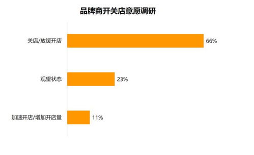 市场调研揭示真相 500份数据如何揭露实体商业的挑战与机遇